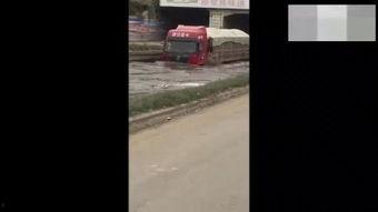 8MM在线视频,揭秘神秘事件背后的真相