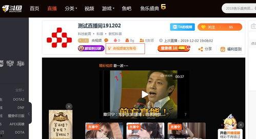 在线视频直播平台,揭秘在线视频直播平台的崛起与影响