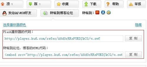在线视频网址谁有吗,揭秘“谁有吗”在线视频网址背后的秘密